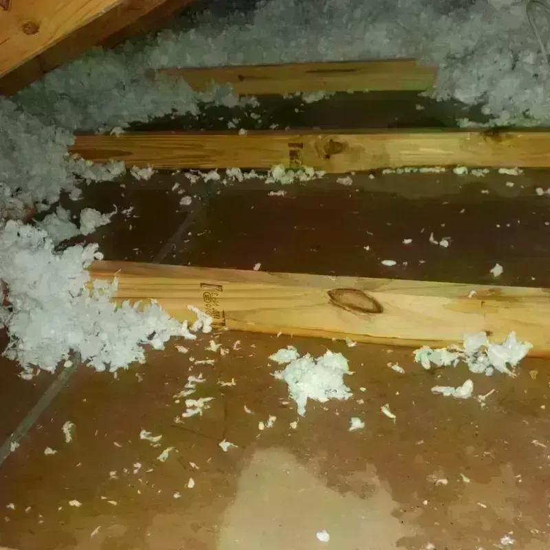 Attic Water Damage in Harwich Center, MA